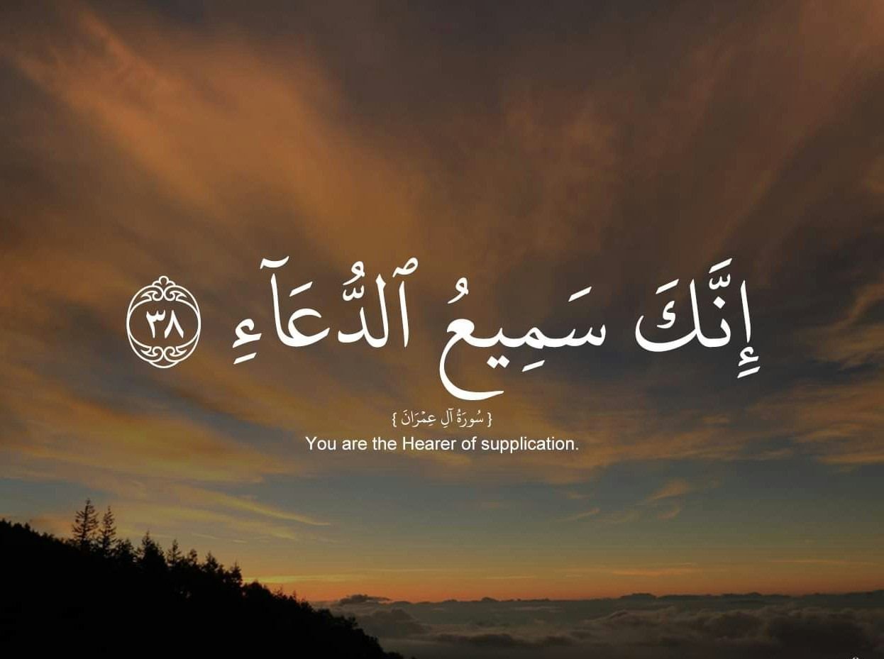 beautiful quran quotes about life