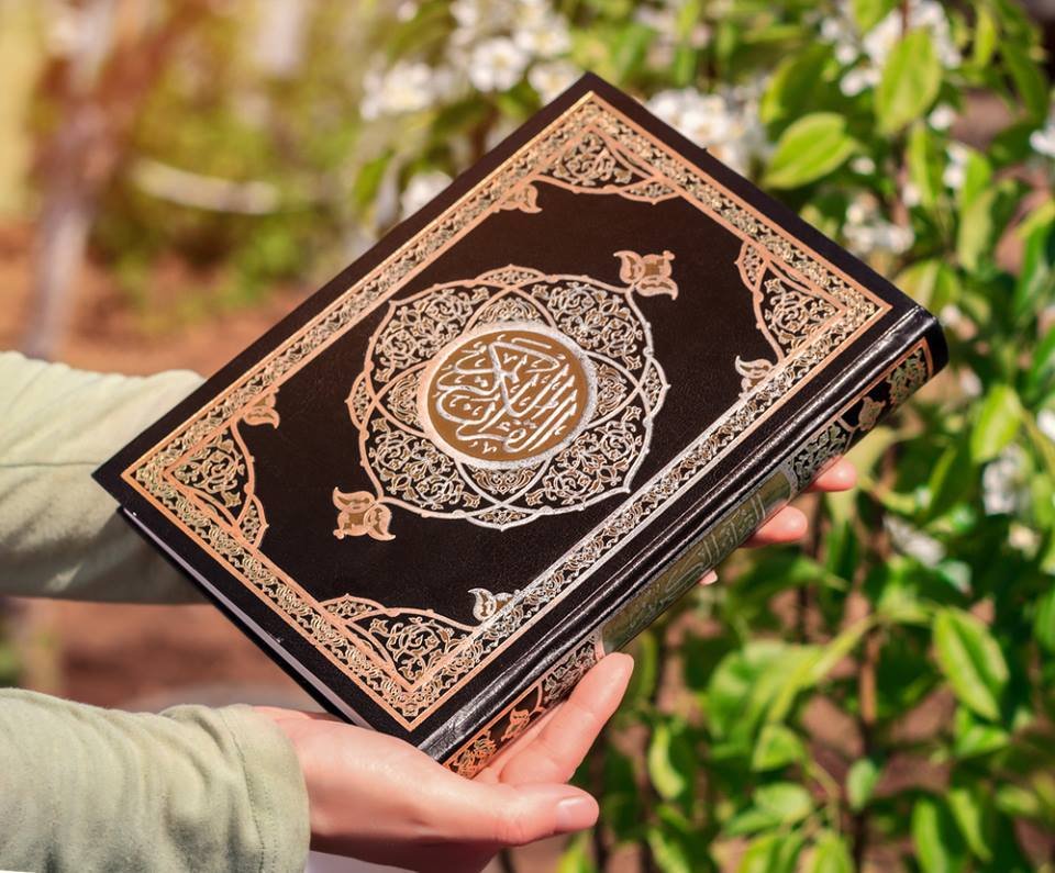 Best quran tafseer in english