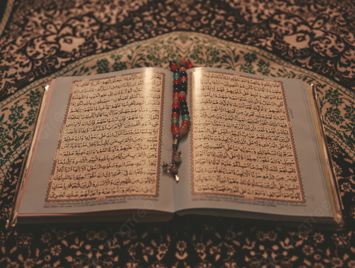 quran with tajweed and english translation